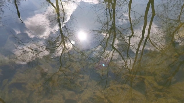 阳光倒映在4K的春江上视频素材