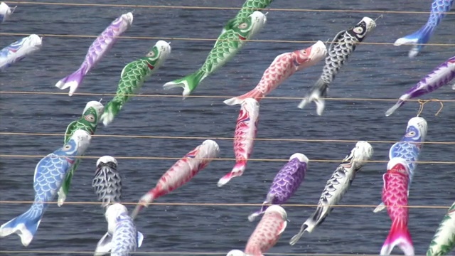 日本群马县河上数以千计的“Koinobori”视频素材