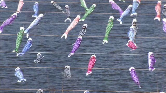 日本群马县河上数以千计的“Koinobori”视频素材