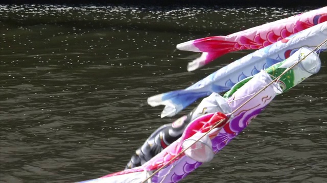 Koinobori' Over River，群马县，日本视频素材