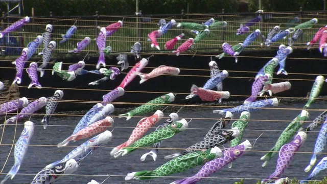 日本群马县河上数以千计的“Koinobori”视频素材