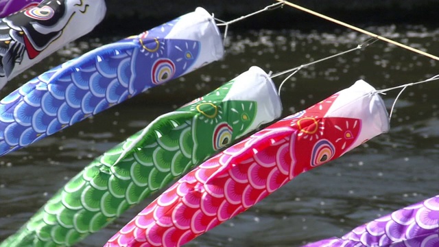 Koinobori' Over River，群马县，日本视频素材