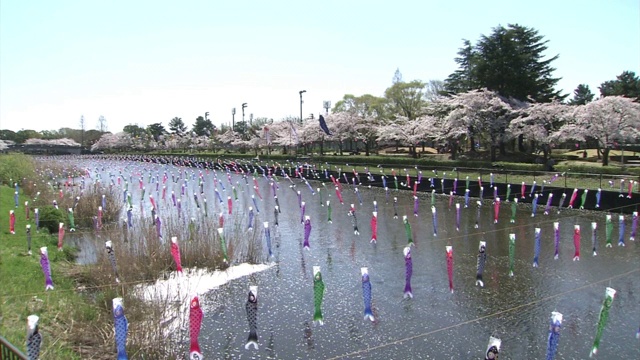 日本群马县河上数以千计的“Koinobori”视频素材