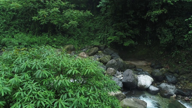 美丽的自然溪流背景在山上视频素材