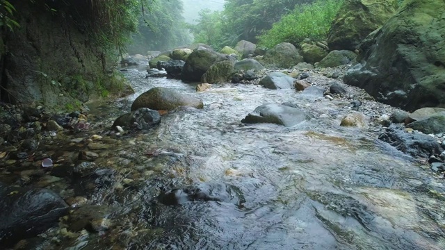 跟随风景美丽的自然溪流背景视频素材