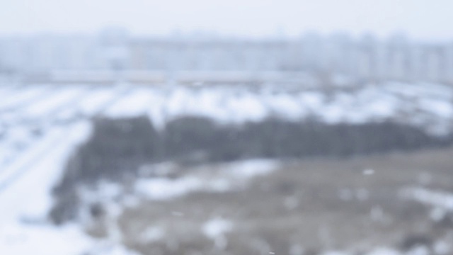 冬天的季节。雪花落在模糊的树木上。视频素材