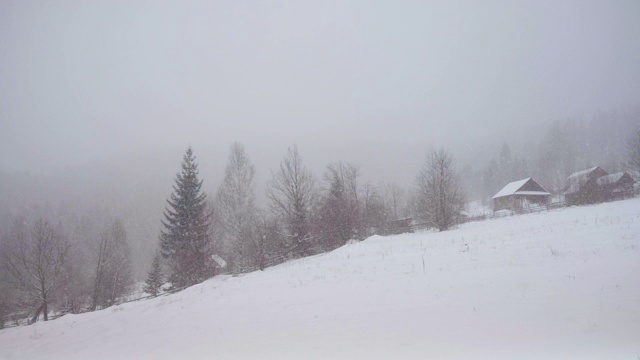 下雪的冬天的树木。积雪的森林在冬天的时候现在有暴风雨。树枝上覆盖着雪。冬天的背景视频素材