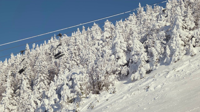 在雪树覆盖的滑雪缆车上滑雪的人，在滑雪坡上方的缆车视频素材