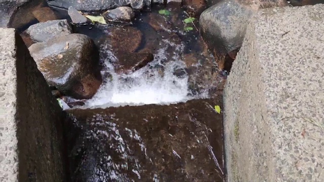 巴西热带雨林中的淡水小河道视频素材