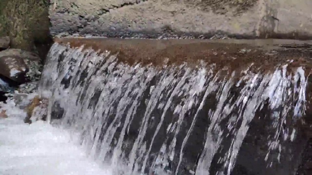 巴西热带雨林中的淡水小河道视频素材