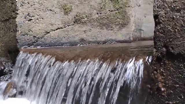 巴西热带雨林中的淡水小河道视频素材