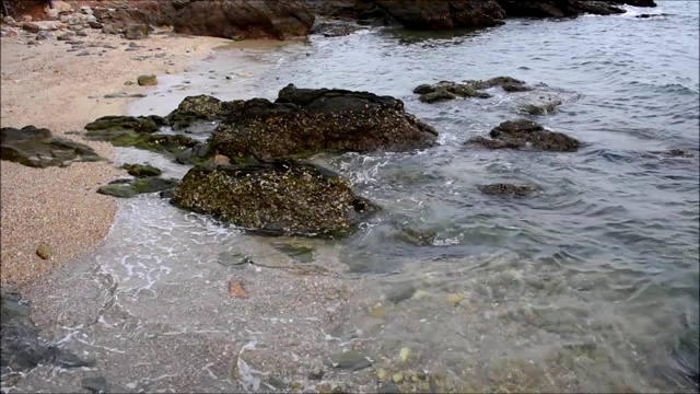 海岸充满岩石在阴天视频素材