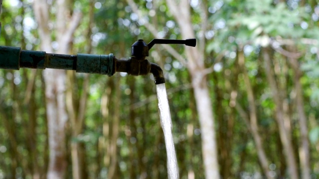 水阀绿色自然背景视频素材