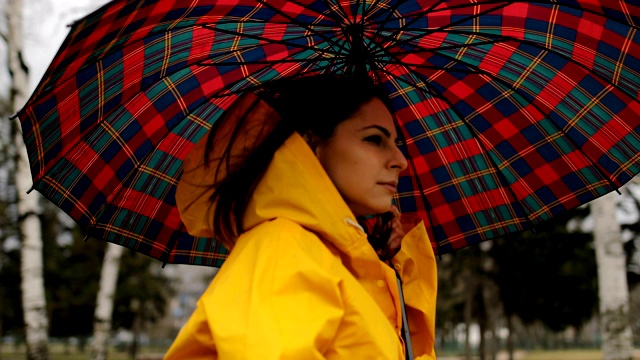 雨天在城市公园里视频素材