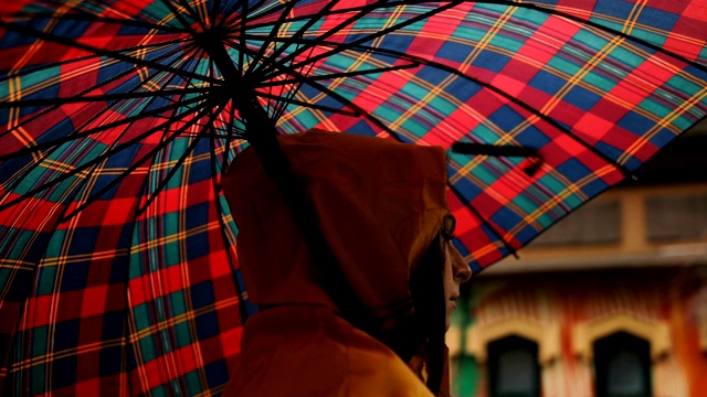 雨天在城市公园里视频素材