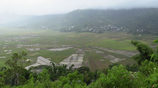 印度尼西亚，东努沙登加拉，纳万巴霍，弗洛雷斯岛，稻田景观视频素材