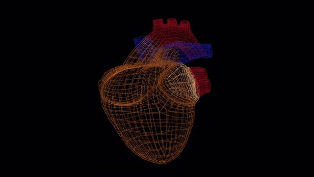 心脏扫描动画。检测心血管系统疾病和问题的接口。视频素材