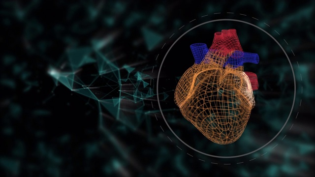 心脏扫描动画。检测心血管系统疾病和问题的接口。视频素材