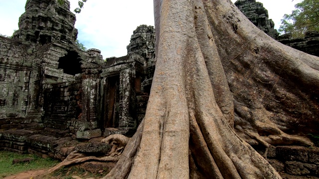 柬埔寨暹粒的Prasat Ta prohm寺庙视频素材