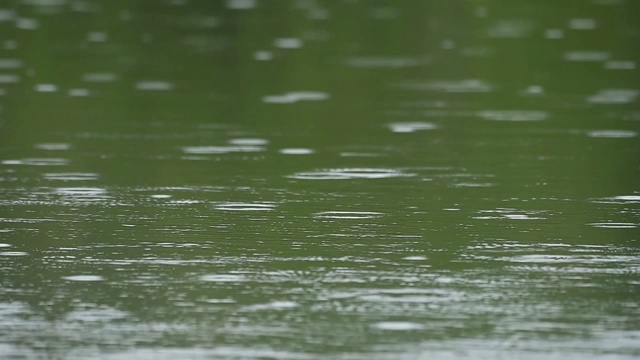 雨滴落在河水表面视频素材