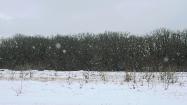 雪花飘落在美丽的灰色冬日风景上视频素材