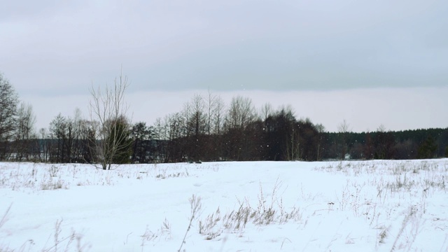 雪花飘落在美丽的灰色冬日风景上视频素材