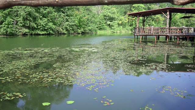 有木制建筑的夏季公园景观视频素材