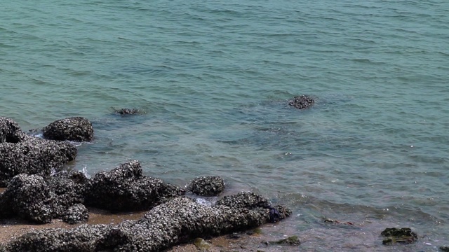 慢动作的小海浪在海景，海滩的波浪，海浪打破海滩。视频素材