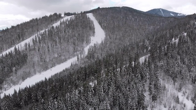 空中滑雪斜坡与滑雪者在滑雪胜地。雪山冷杉林。Bukovel视频素材