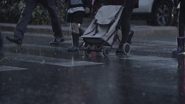 人们在雨中在人行横道上交通视频素材