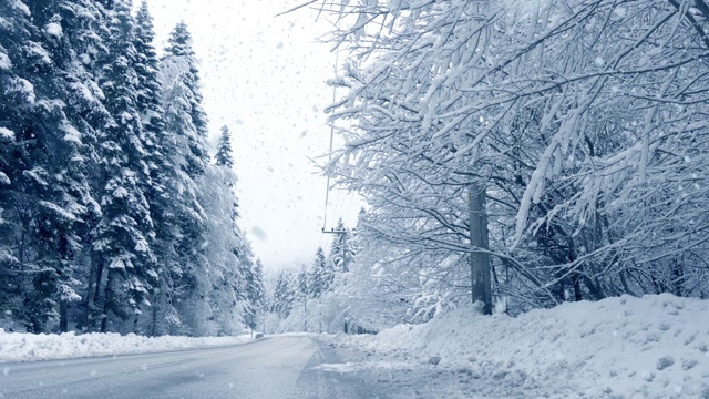 汽车在暴风雪中穿过森林视频素材