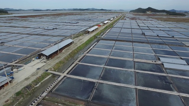 太平盐场(Jeungdo盐场)在Jeungdo岛/西南郡，全罗南道，韩国视频素材