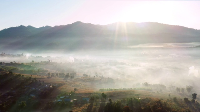 空中雾森林视频素材