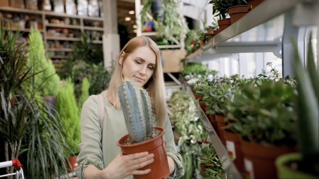 女人选择盆栽仙人掌在室内植物商店视频素材