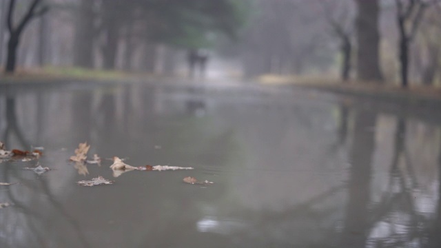 秋雨过后的小巷在秋天的人行道上泛起水坑。视频素材