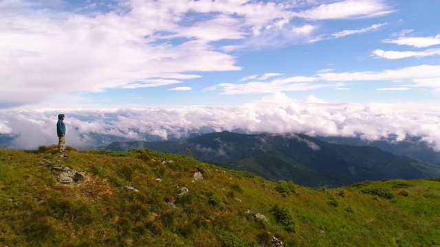 这只雄鸟站在风景优美的山上视频素材