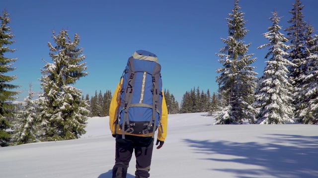 男子背包客旅游步行雪景视频素材