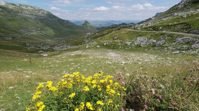 黑山夏季山地Durmitor国家公园。Durmitor全景路，Sedlo通行证。视频素材