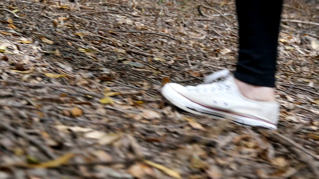 女性徒步旅行者的腿在旅行中爬上了松树山。一个女游客的脚在松林的斜坡上行走。小女孩在林地徒步旅行。健康积极的生活方式。低的观点视频素材