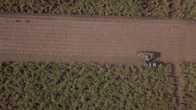 甘蔗收获园高空高空下射视频素材