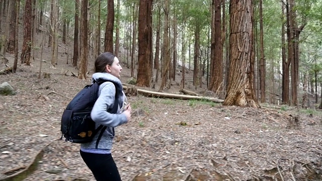 女游客在旅行期间的松林小径上慢跑。背包女徒步者沿着松林小径奔跑。年轻的背包客在林地徒步旅行。健康积极的生活方式。近距离视频素材