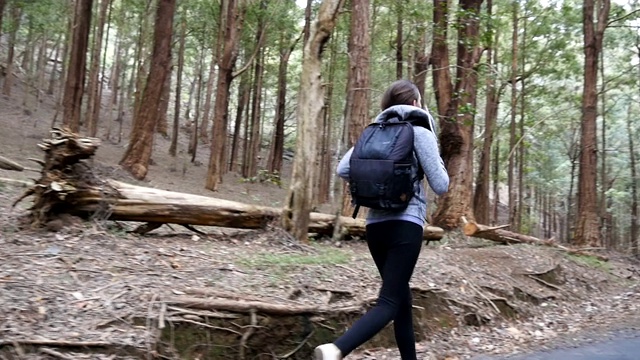 女游客在旅行期间的松林小径上慢跑。背包女徒步者沿着松林小径奔跑。年轻的背包客在林地徒步旅行。健康积极的生活方式。近距离视频素材