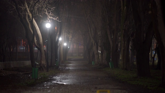 夜晚的城市景象，空旷黑暗的小巷，在一个秋天的夜晚，城市公园的灯笼照亮。视频素材