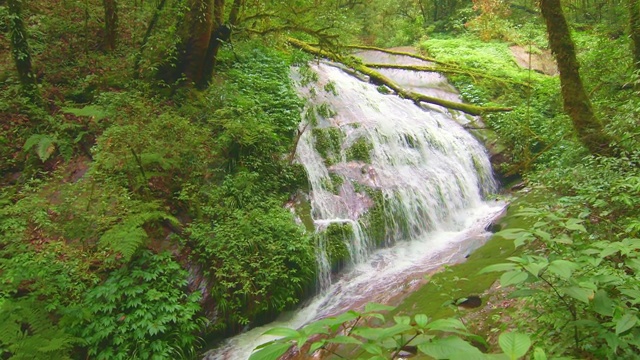 瀑布在Doi Inthanon国家公园，泰国。清迈市附近的热带雨林中流淌着纯净的淡水。视频素材