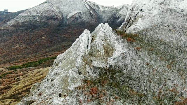 无人机飞过长满树木和积雪的山坡的航拍画面视频素材