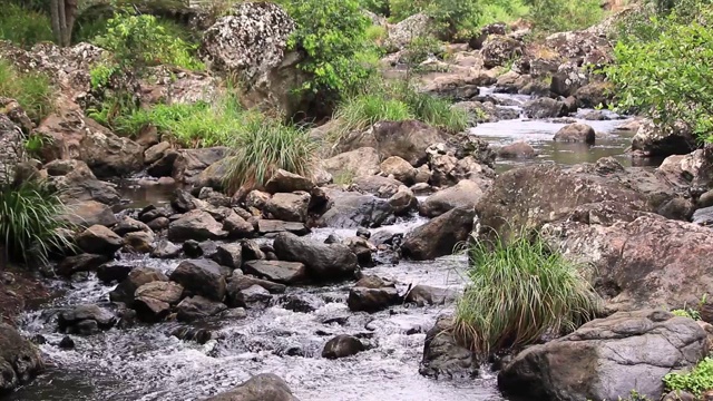 水流瀑布在山区澳大利亚阳光海岸视频素材