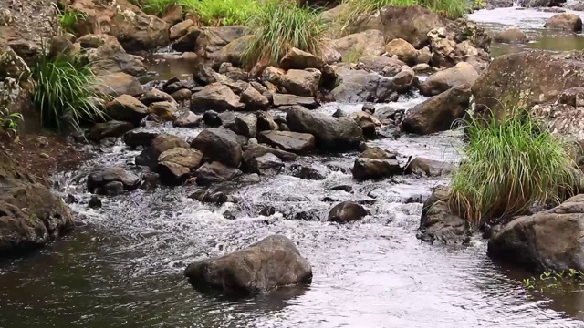 水流瀑布在山区澳大利亚阳光海岸视频素材