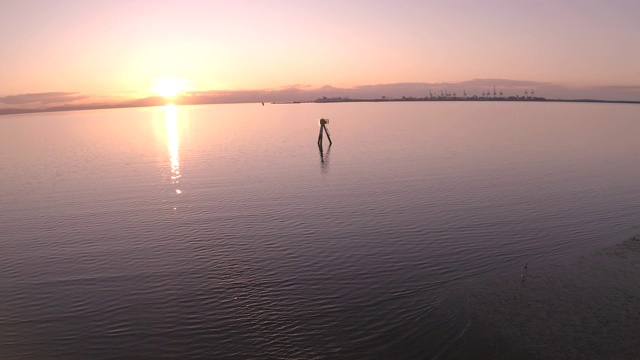 日落太平洋海岸视频素材