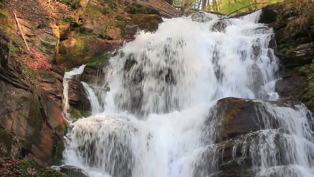 水在森林深处流动视频素材