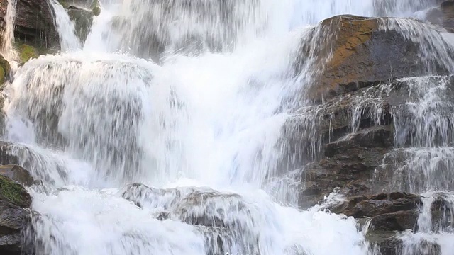 水在森林深处流动视频素材